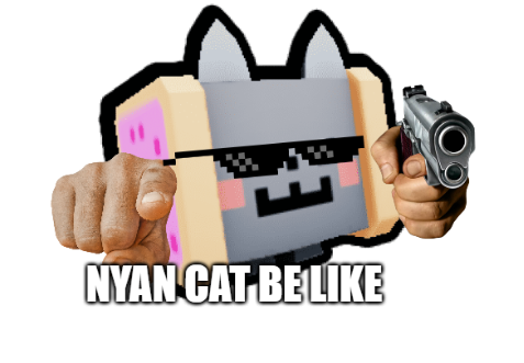 nyan cat be like
